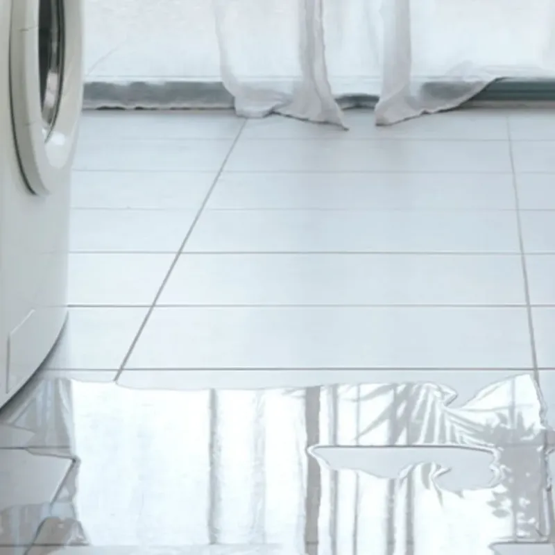 Appliance Leak Cleanup in Fairmont, WV