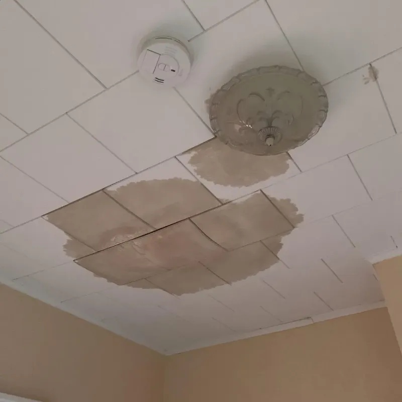 Ceiling Water Damage Repair in Fairmont, WV