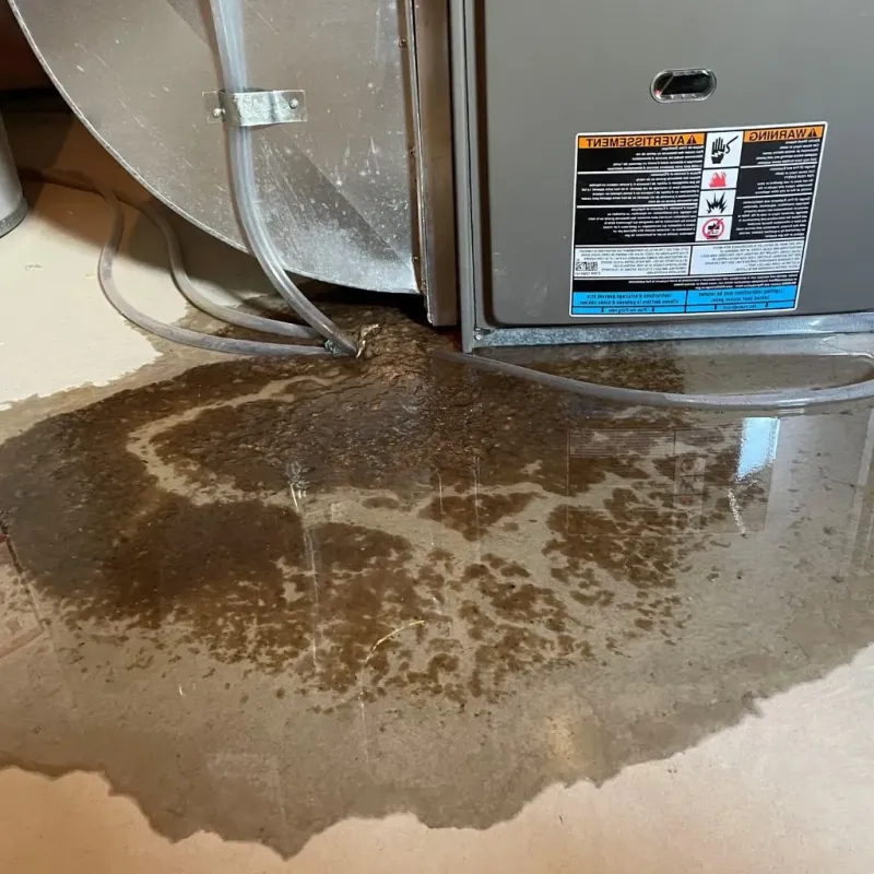 Pipe Burst and Leak Restoration in Fairmont, WV