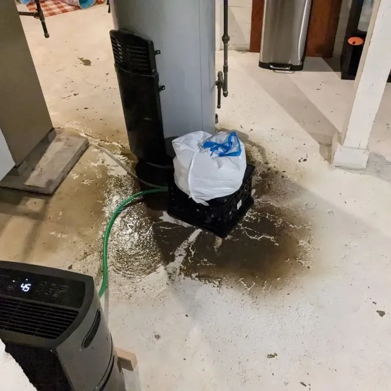 Sewage Backup Cleanup Service in Fairmont, WV